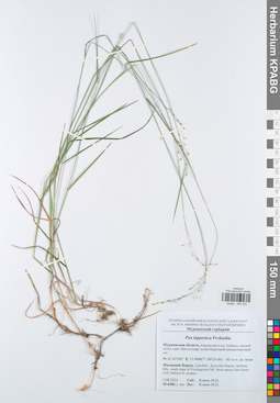 KPABG050032