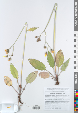 KPABG047344