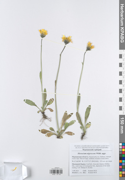 KPABG047403