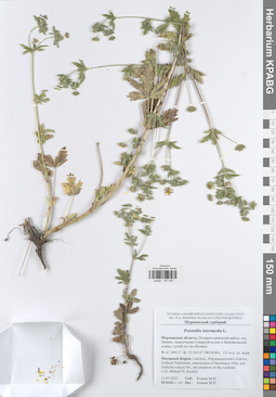 KPABG047452