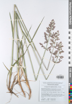 KPABG045018