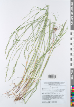 KPABG045035