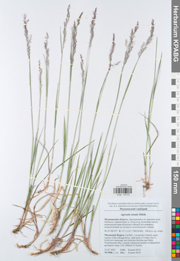 KPABG045042