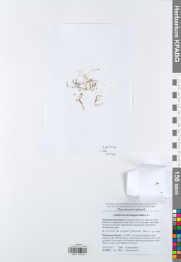 KPABG045052