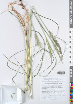 KPABG047040