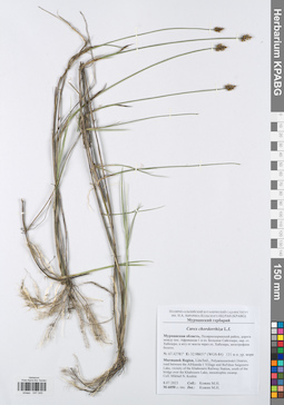 KPABG047045