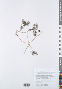 KPABG047064