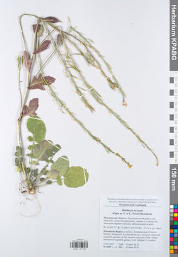 KPABG047083
