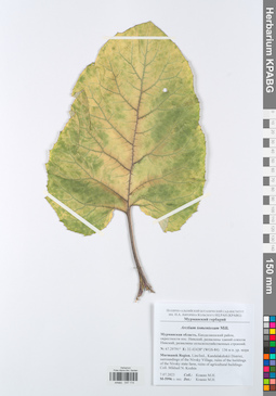 KPABG047114