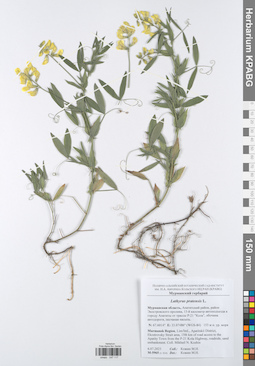 KPABG047117