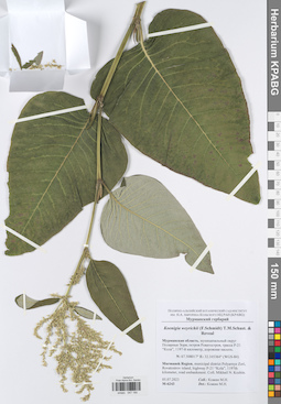 KPABG047190
