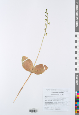KPABG047192