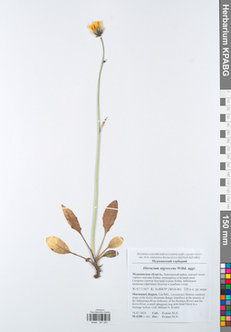 KPABG047250