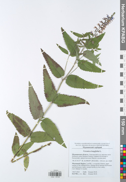 KPABG049858