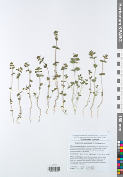 KPABG049878