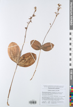 KPABG049764