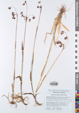 KPABG049968