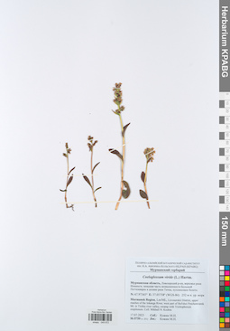 KPABG049972
