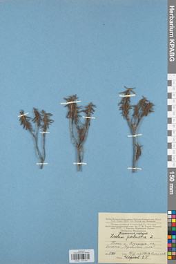 KPABG034055