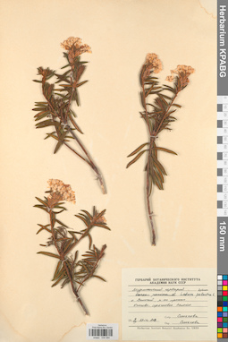 KPABG034084