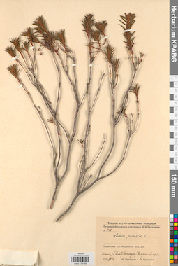 KPABG034085