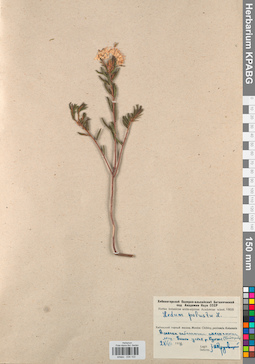 KPABG034103