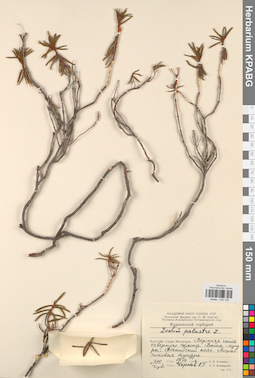 KPABG034136