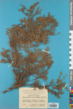 KPABG034145