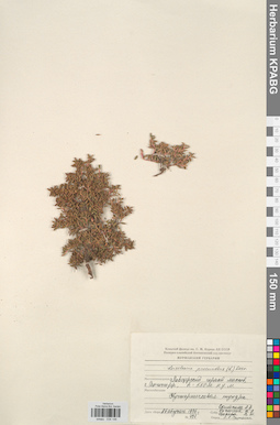 KPABG034146