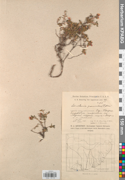KPABG034149