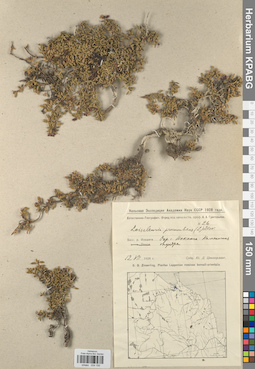 KPABG034150