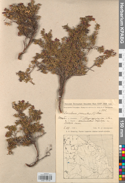 KPABG034168