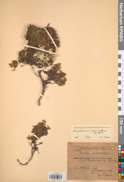 KPABG034188