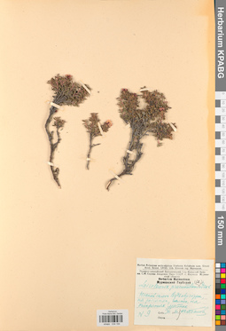 KPABG034194