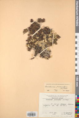KPABG034207