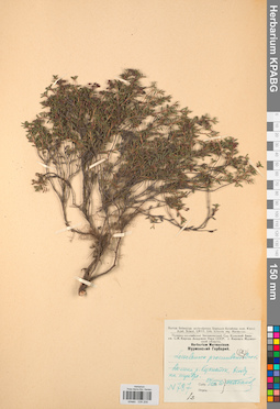 KPABG034209