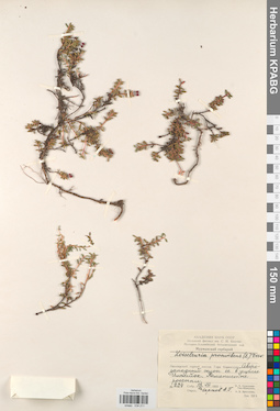 KPABG034211