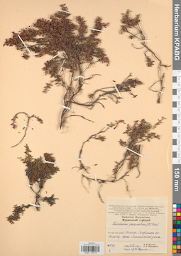 KPABG034214