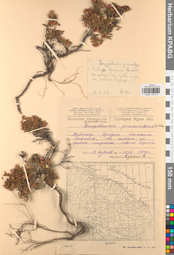 KPABG034218