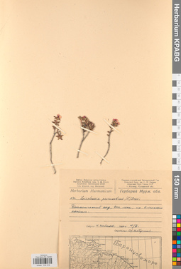 KPABG034219