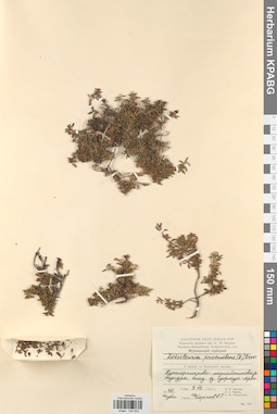 KPABG034229