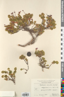 KPABG034242