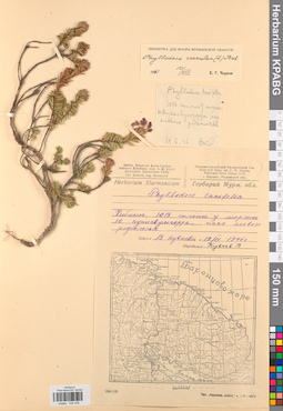 KPABG034246