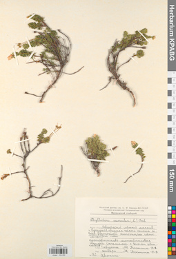 KPABG034255