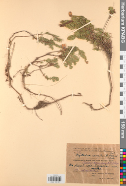 KPABG034261