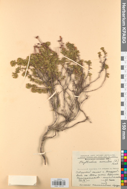 KPABG034272