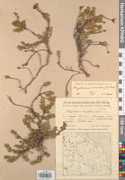 KPABG034276