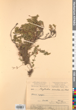KPABG034283