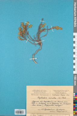 KPABG034288