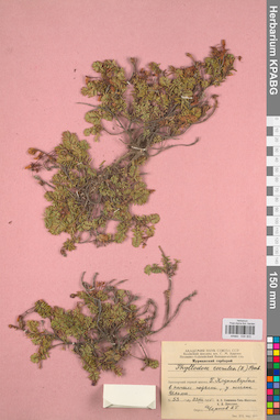 KPABG034303